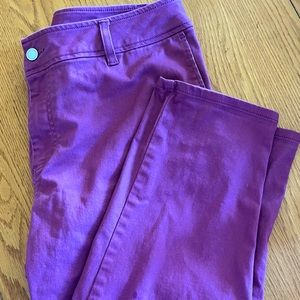 Hawthorne Pants- Size 18W